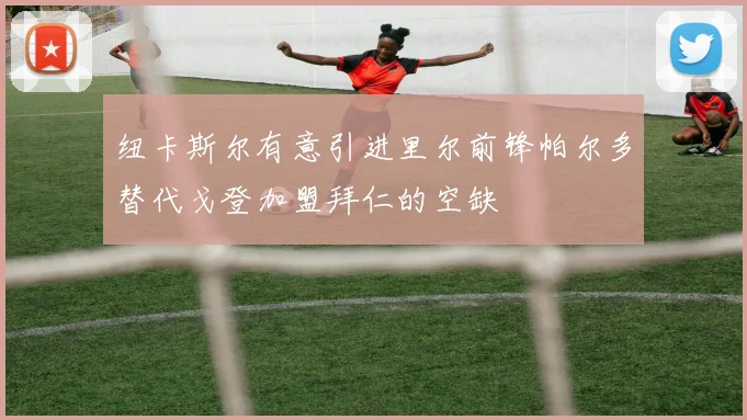 纽卡斯尔有意引进里尔前锋帕尔多替代戈登加盟拜仁的空缺